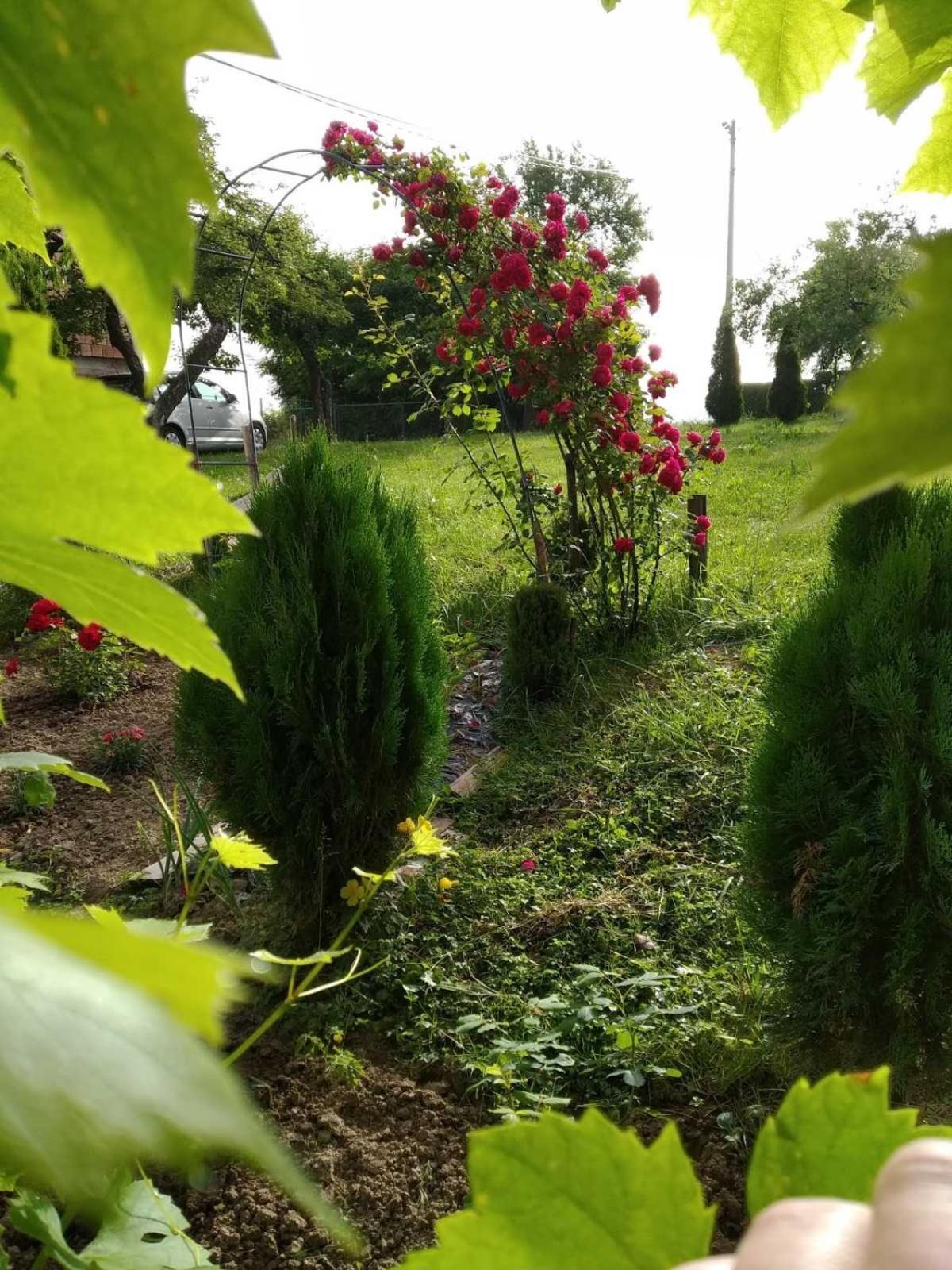 Guest House Bee Visoko Exterior photo